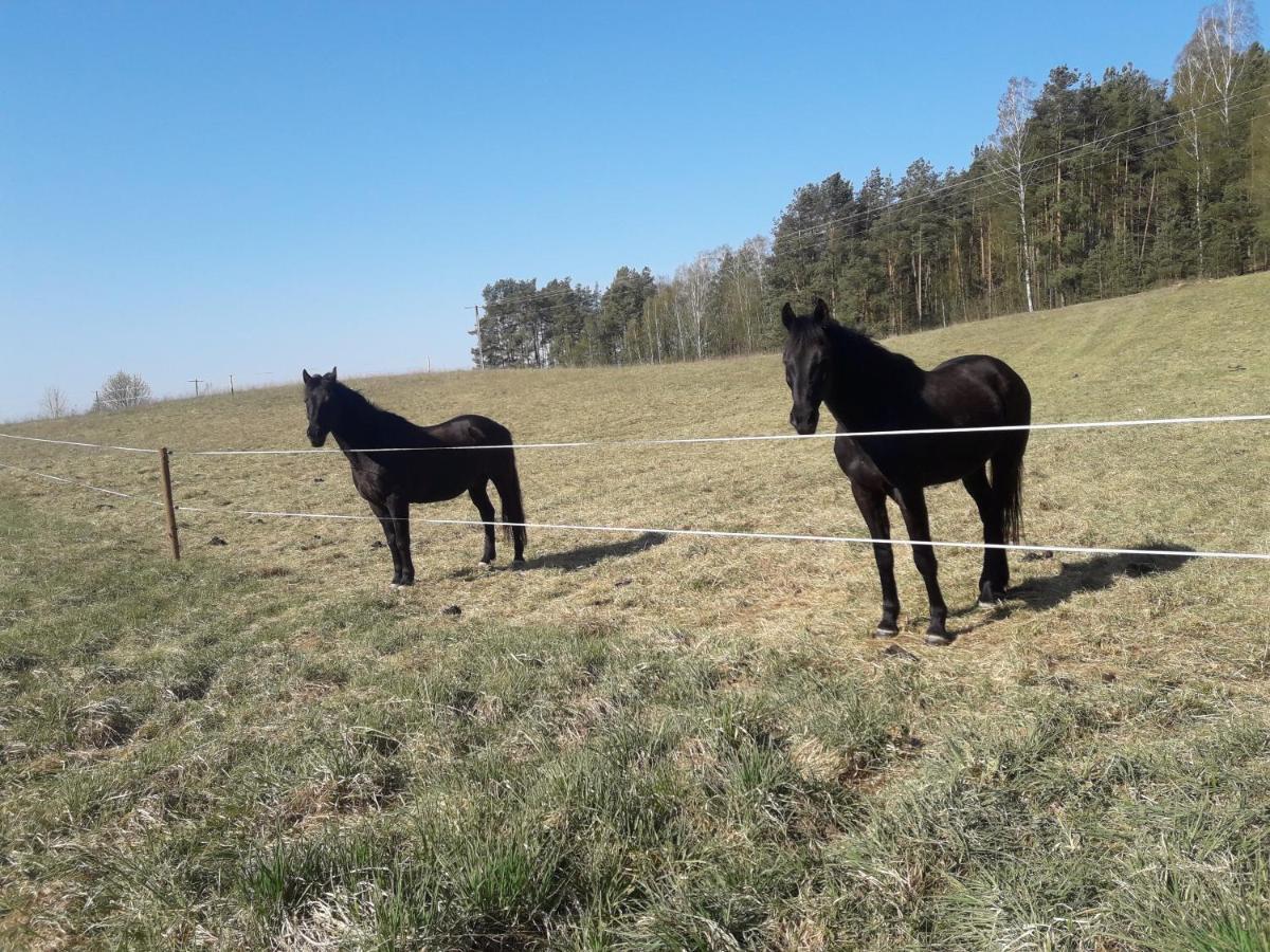 Apartamenty Lubiewo Mikołajki Exterior foto